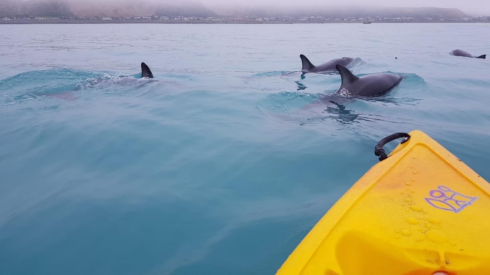 K'orca Cottage by the Sea House in Kaikōura