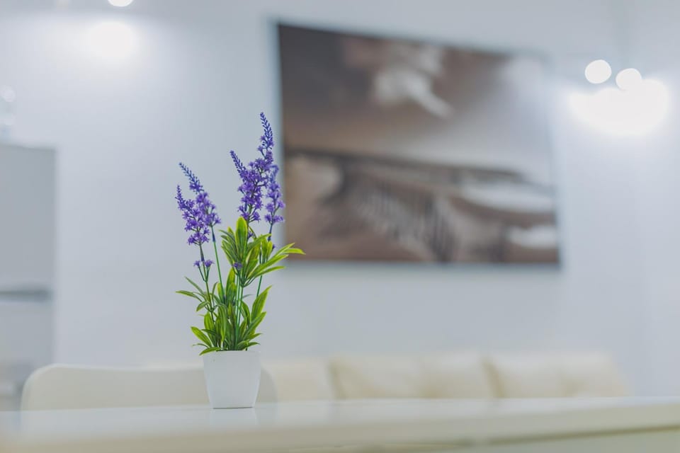 Apartamentos casa palacio Apartment in El Puerto de Santa María
