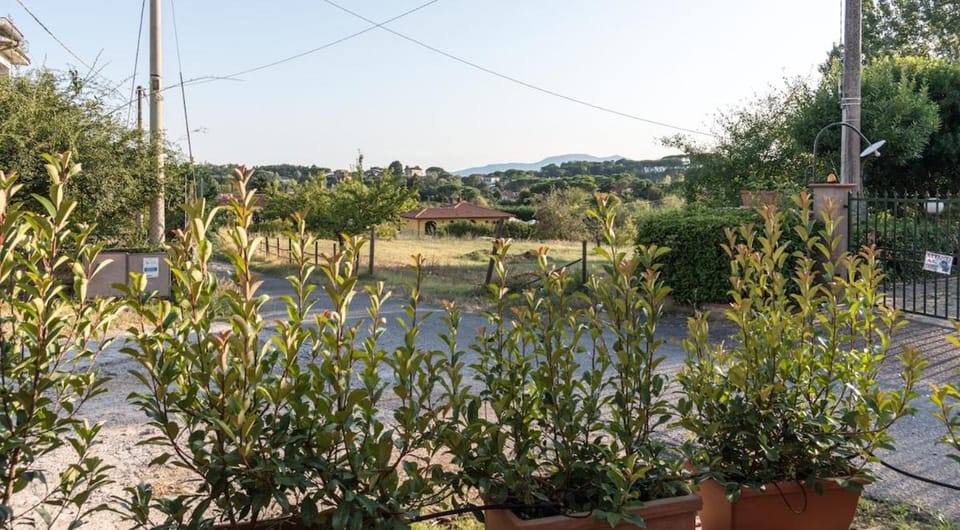 Natural landscape, Garden view