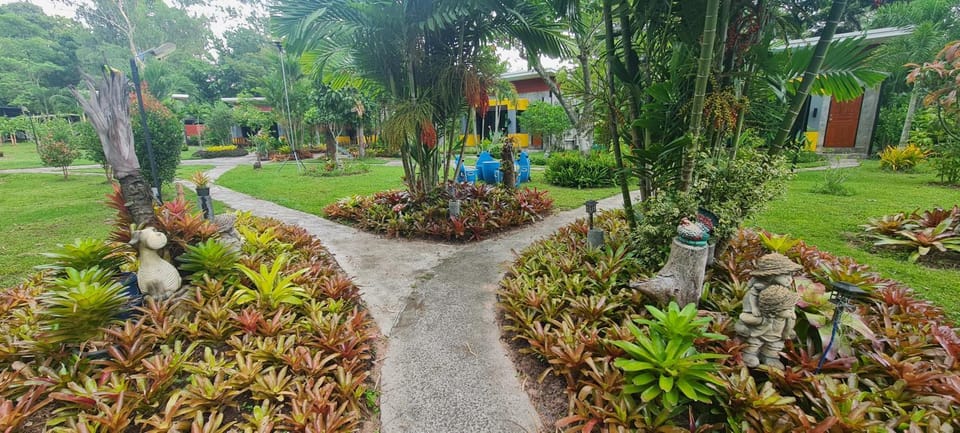 Natural landscape, Garden, Garden view
