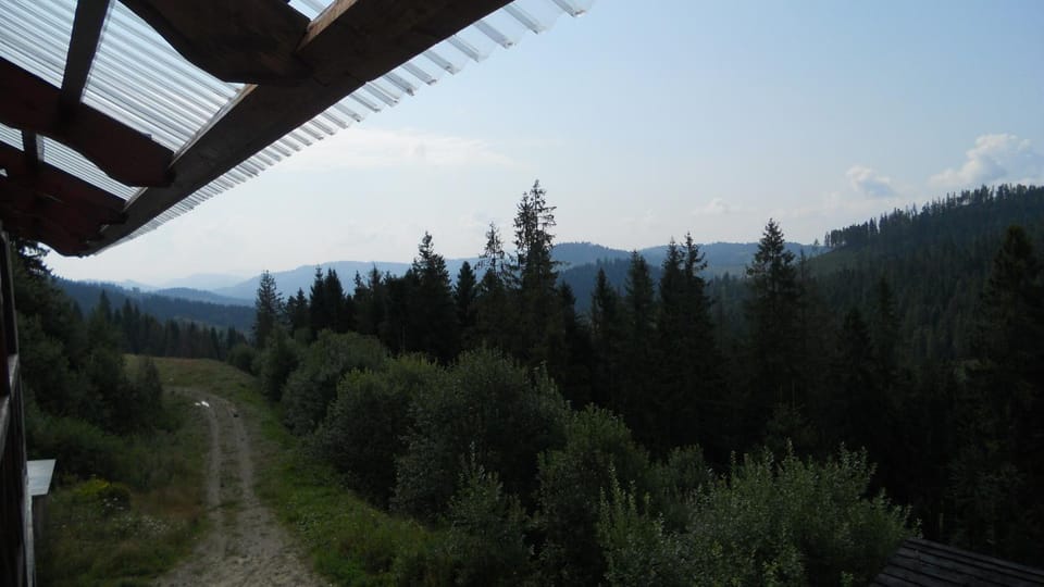 Mountain view