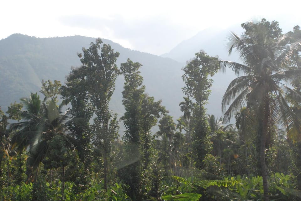 Hospitality Expert Royston BBQ Bonfire Chef Bed and Breakfast in Kerala