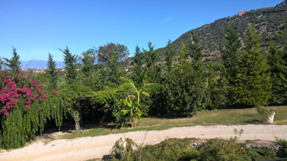 Mountain view