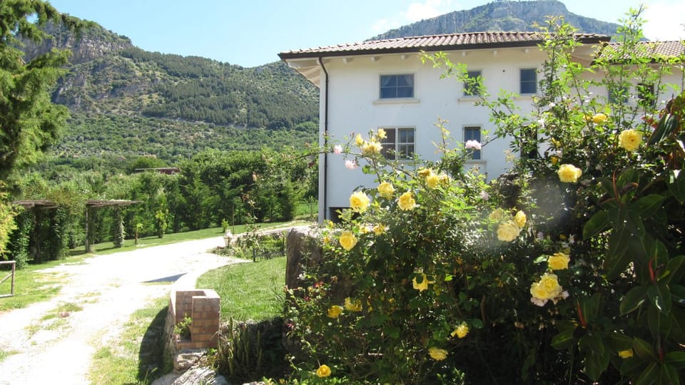 Property building, Mountain view
