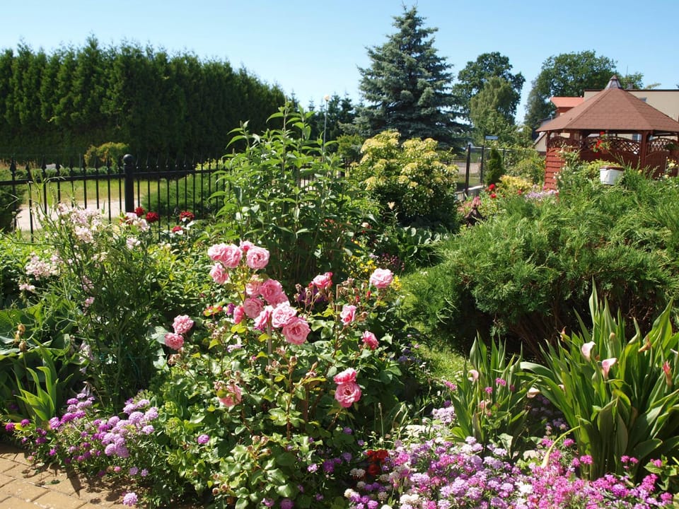 Bajka Bed and Breakfast in West Pomeranian Voivodeship, Poland