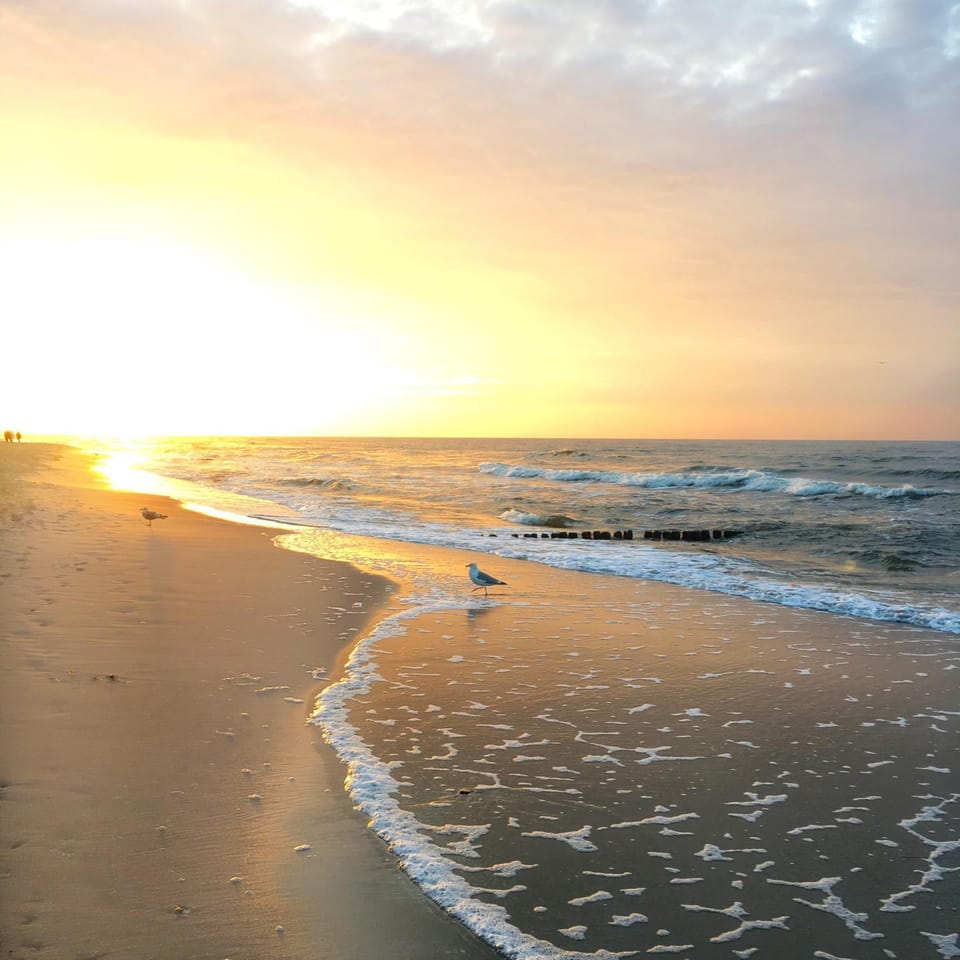 Spring, Natural landscape, Summer, Beach, Autumn, Sunset