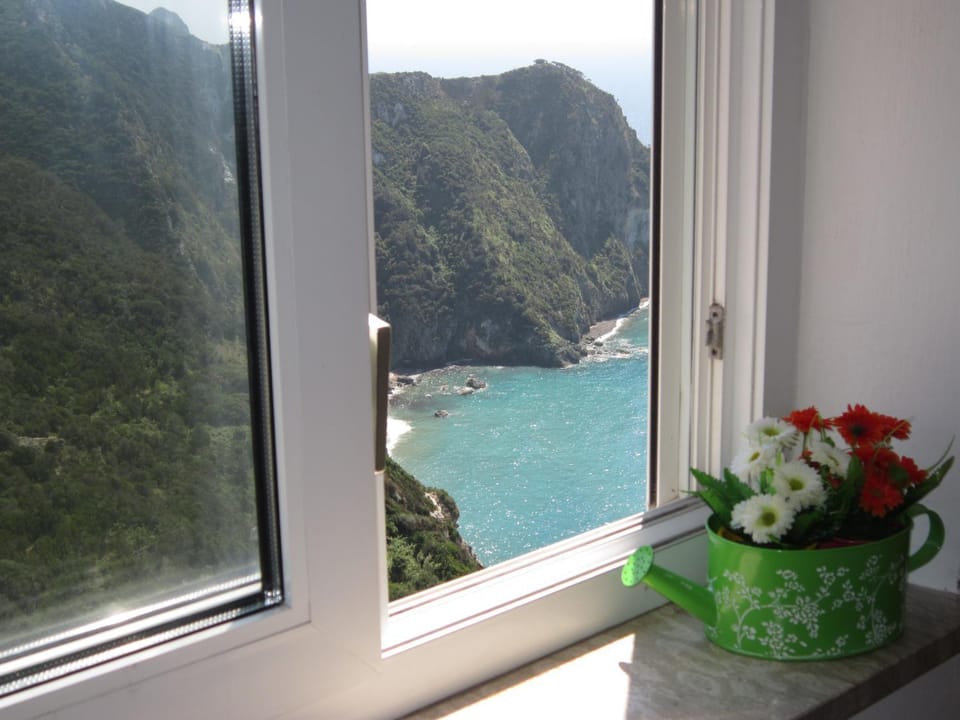 Photo of the whole room, Sea view