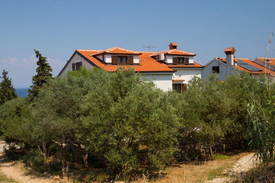 Property building, Day, Natural landscape, Garden, Pets
