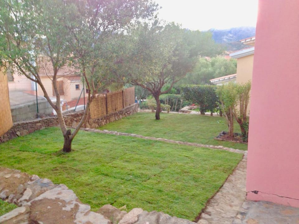 Garden, Pets, Garden view