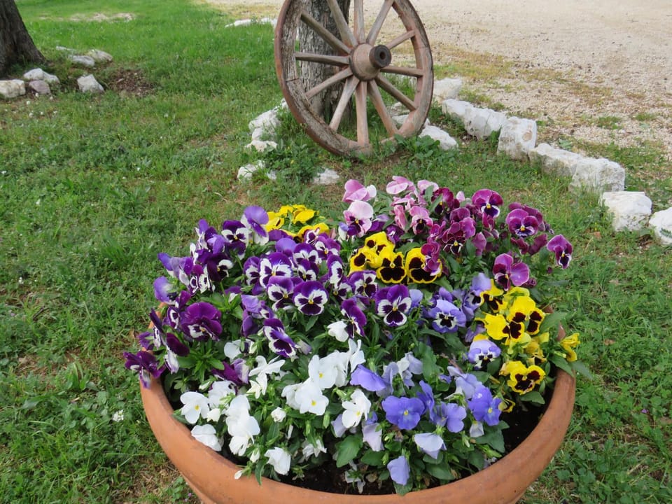 Agriturismo San Martino Farm Stay in Umbria