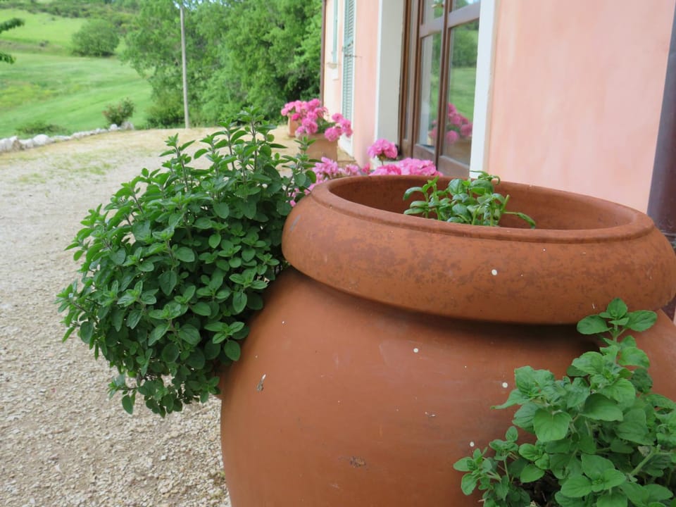 Agriturismo San Martino Farm Stay in Umbria