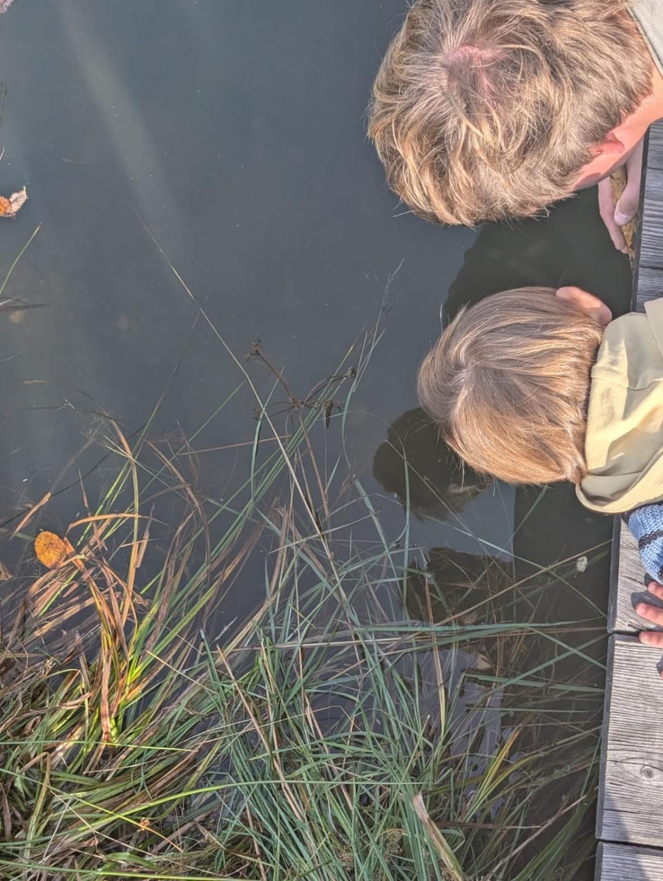 Rüggenhütte House in Carinthia, Austria