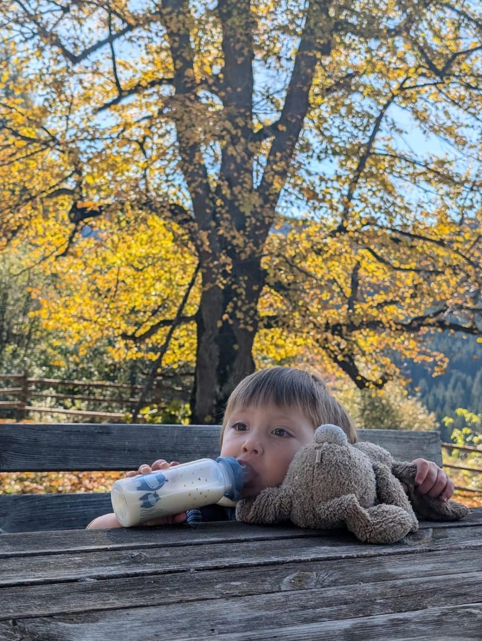 Rüggenhütte House in Carinthia, Austria