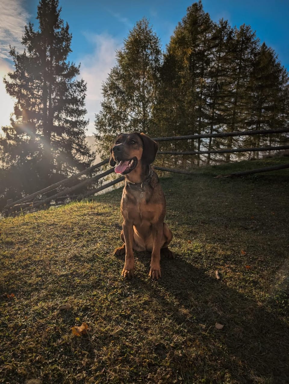 Rüggenhütte House in Carinthia, Austria
