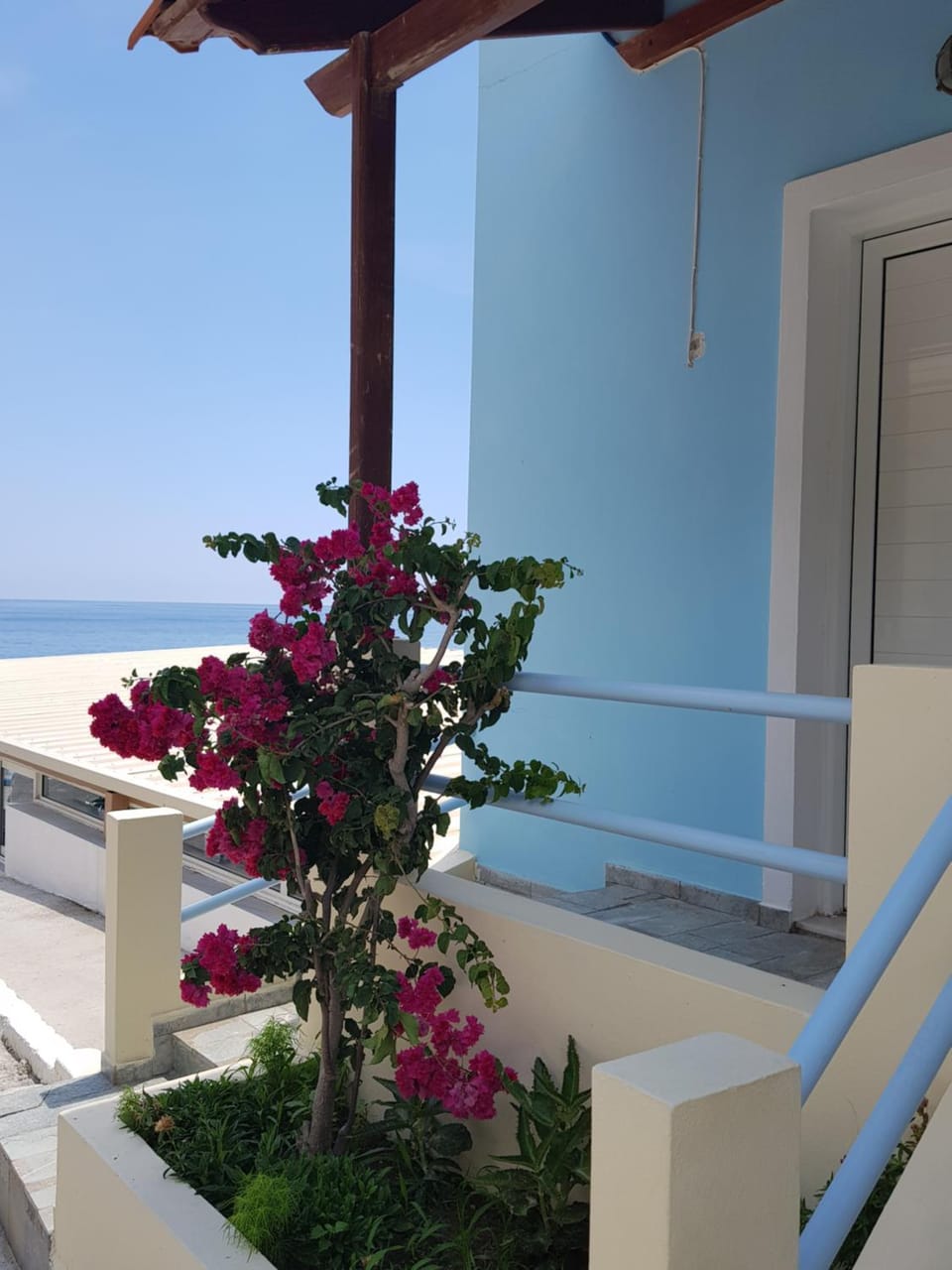 Facade/entrance, Garden, Balcony/Terrace