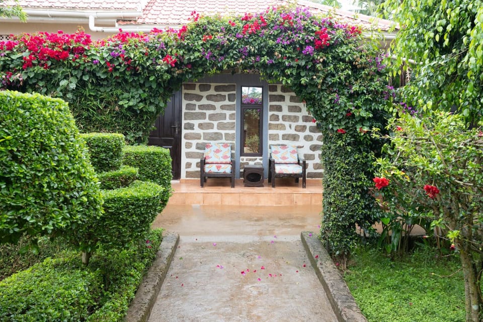 Garden, Garden view