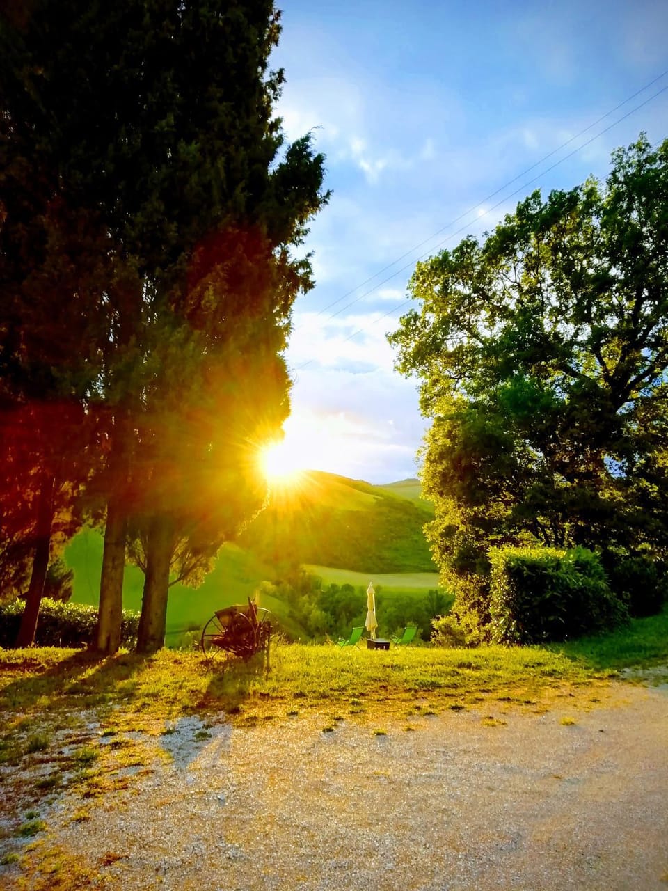 Natural landscape, Garden, View (from property/room), Garden view, Sunset