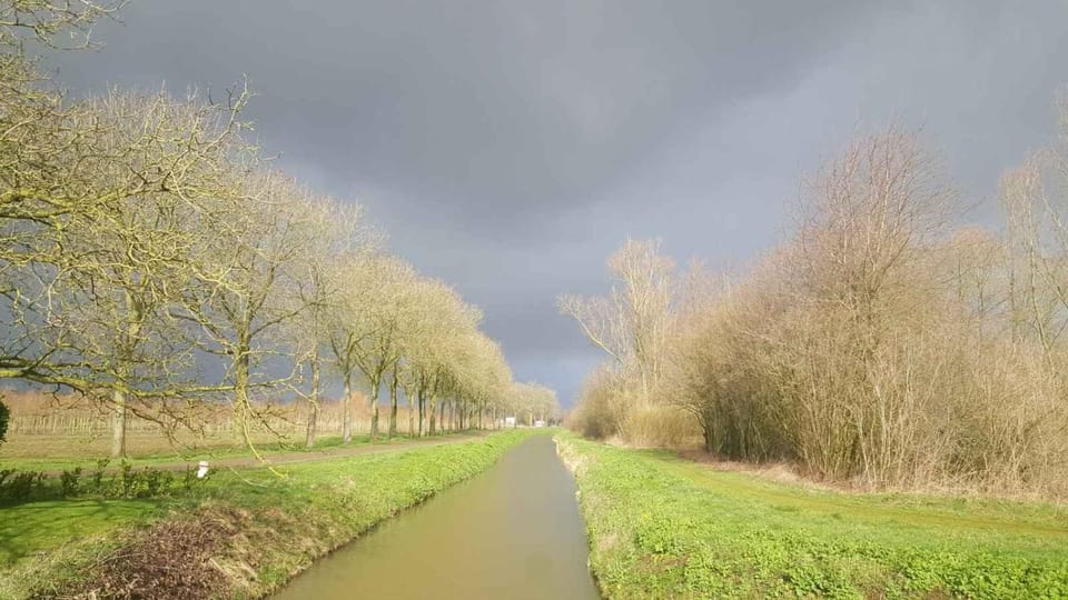 Natural landscape