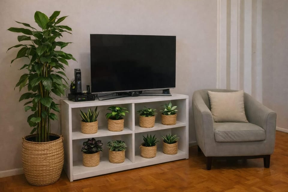Communal lounge/ TV room, TV and multimedia