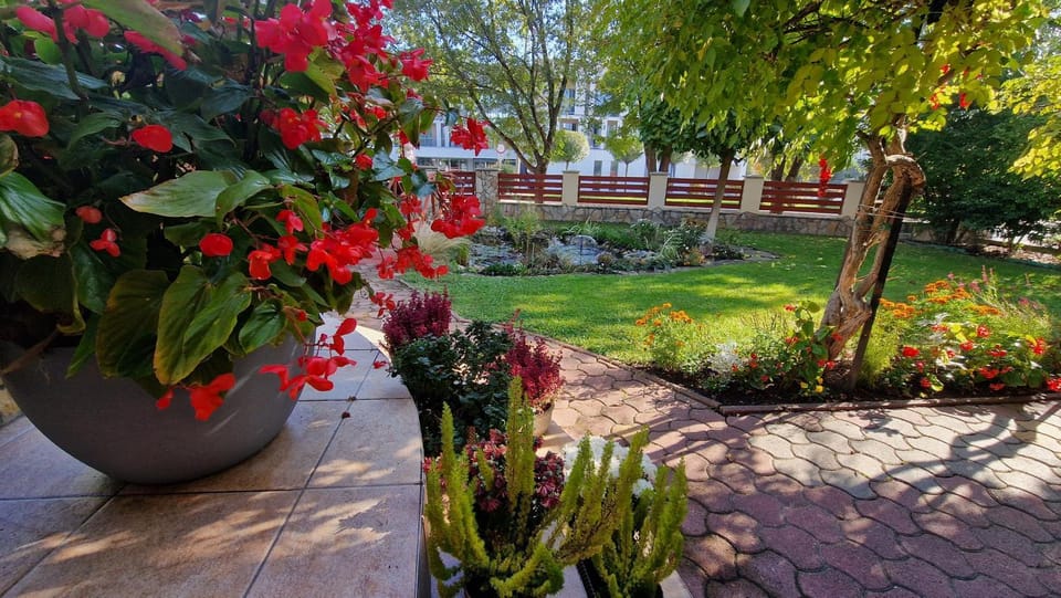 Day, Garden, Garden view