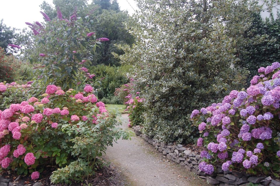 Summer, Garden