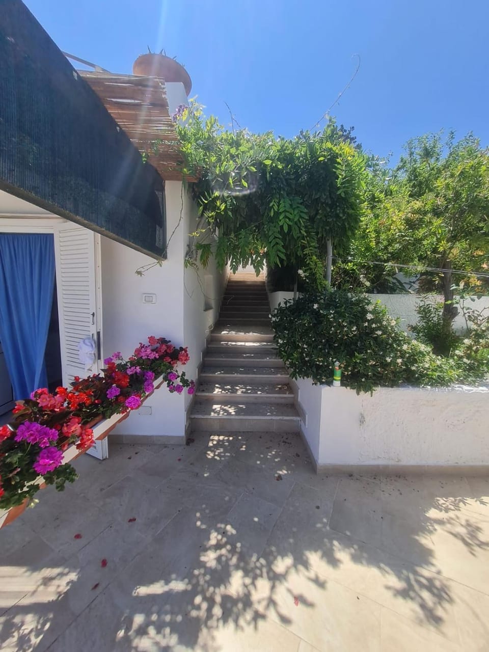Property building, Spring, Day, Garden