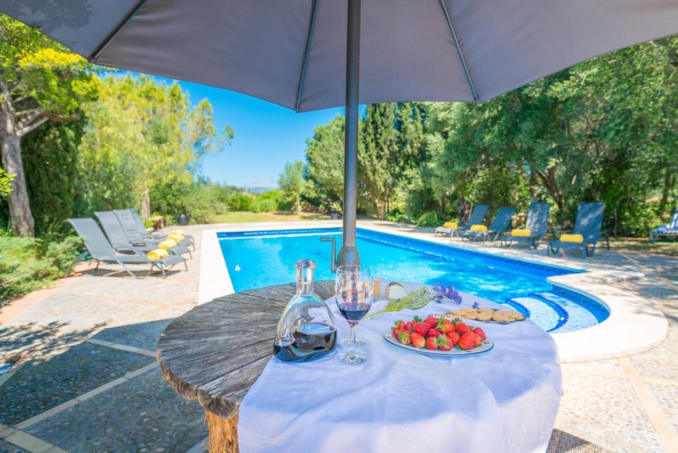 Patio, Garden, Pool view, Swimming pool, sunbed