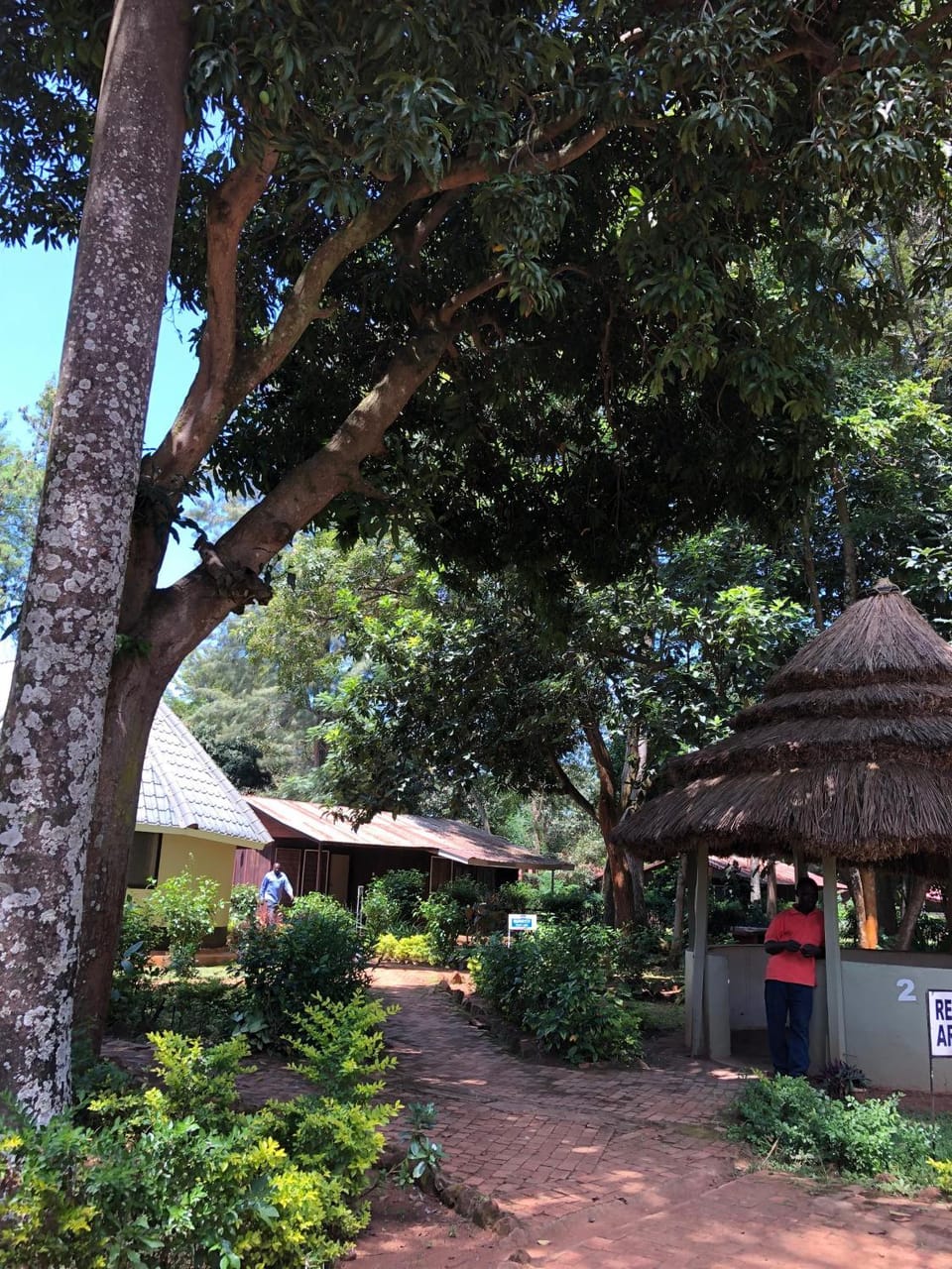 Garden
