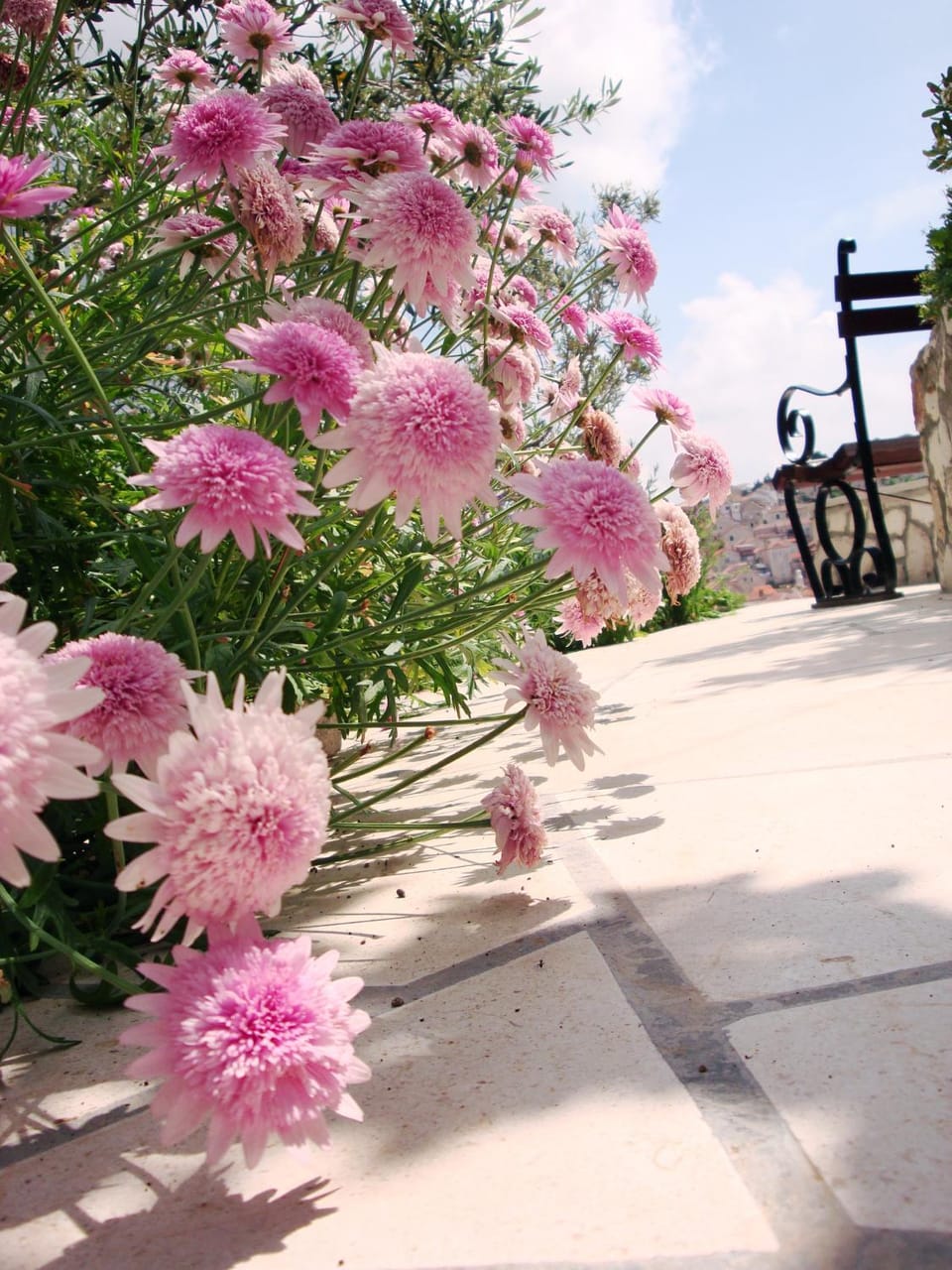 Garden, Balcony/Terrace, Area and facilities