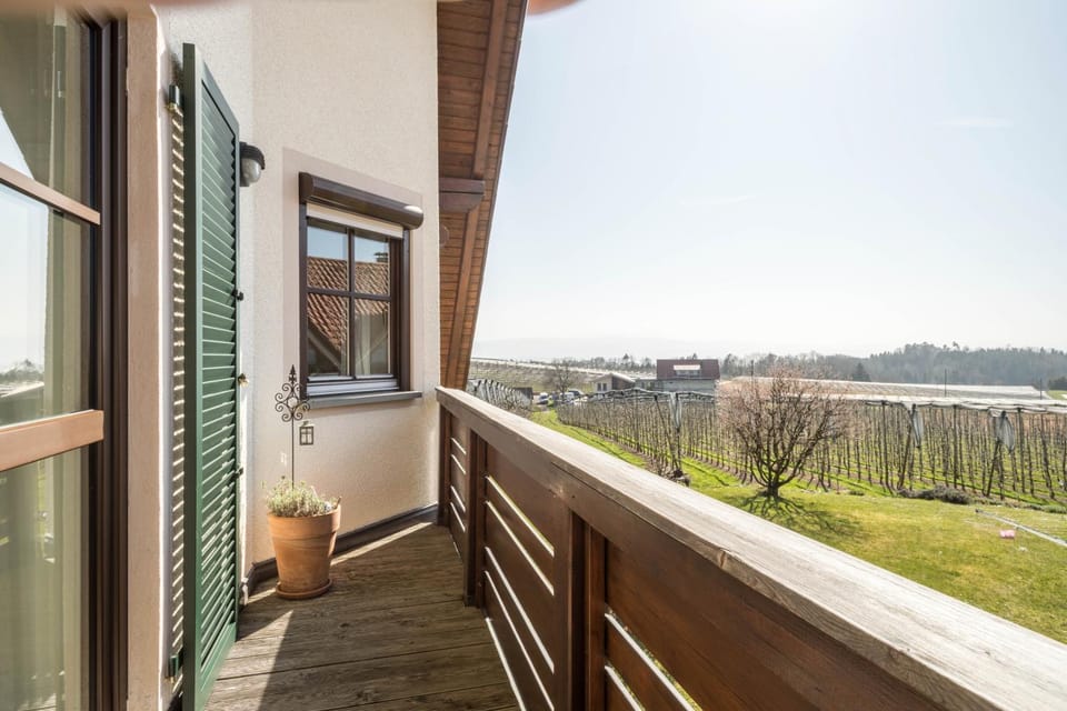 Ferienwohnung Ursula Hiemer 1 Apartment in Baden-Württemberg