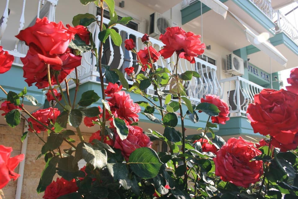 Rea Hotel Hotel in Pieria, Greece