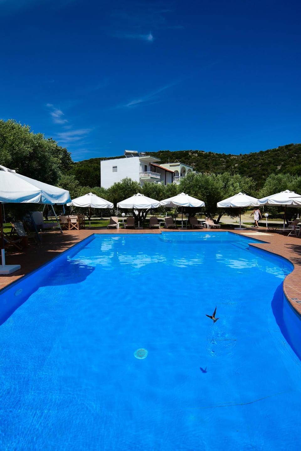 Garden, Coffee/tea facilities, Area and facilities, Swimming pool, Drinks, Location