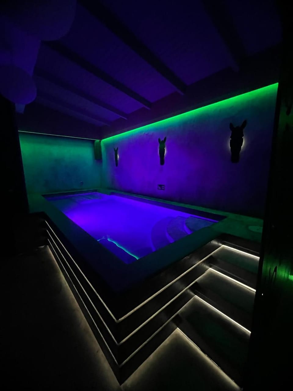 Sauna, Swimming pool