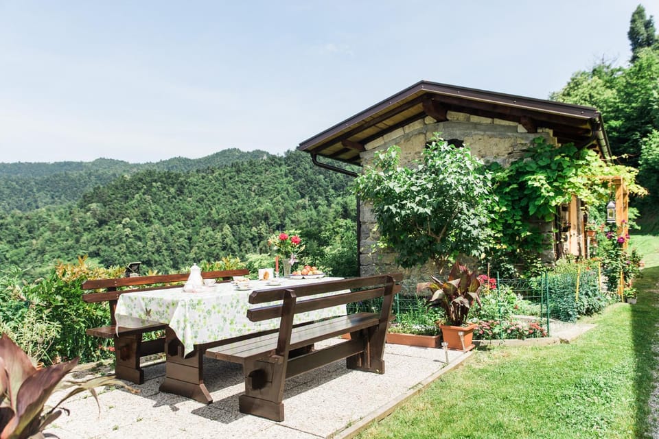 Patio, Garden