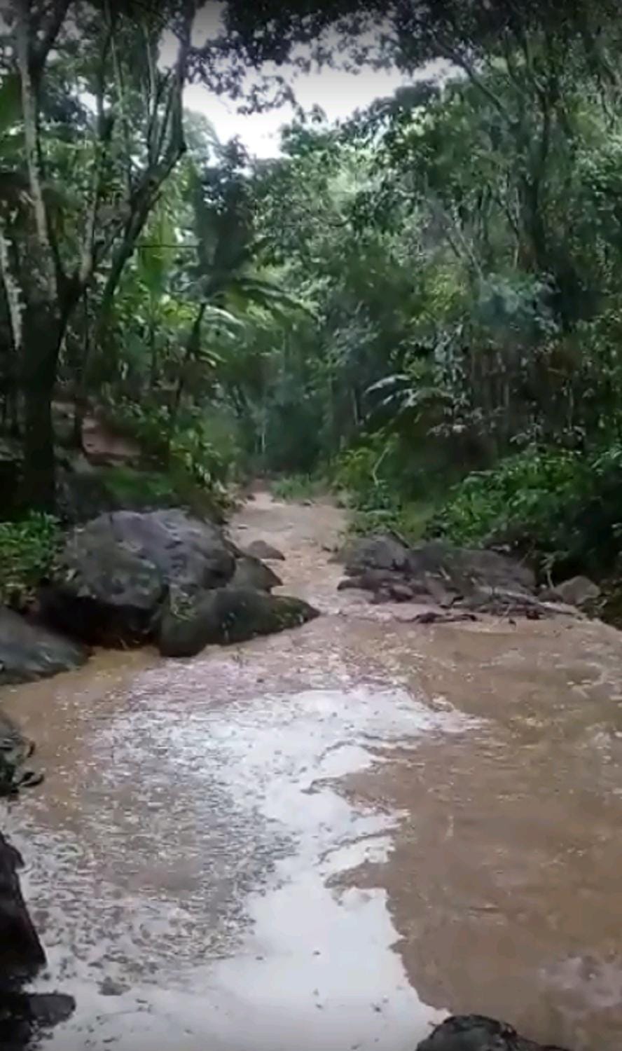 Natural landscape, River view, Swimming pool