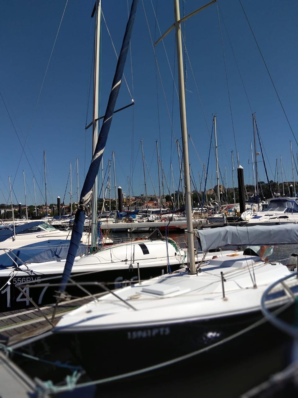 Veleiro D'Ouro Docked boat in Porto