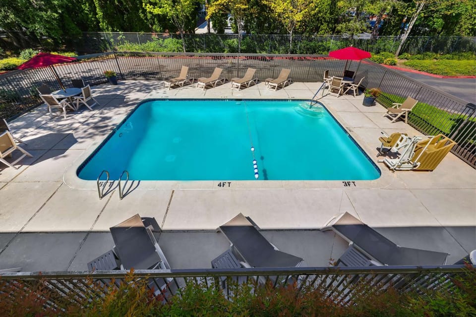 Activities, On site, Pool view, Swimming pool, Swimming pool