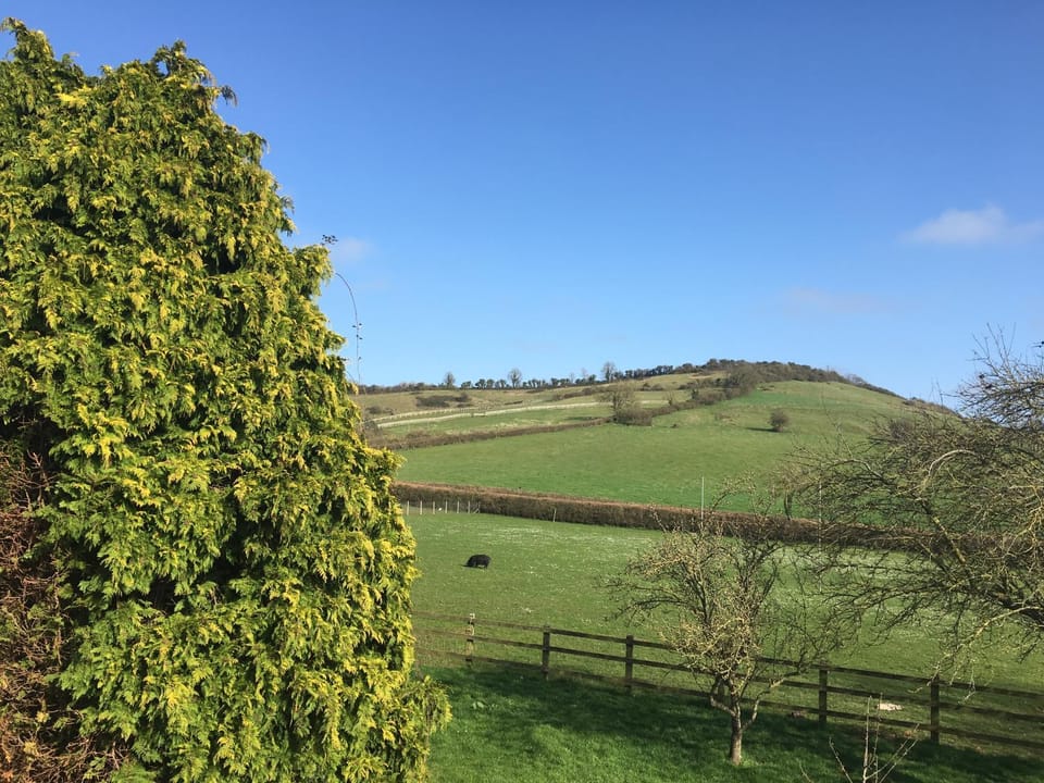The Annex, Fruit and Honey Farm Apartment in Sedgemoor