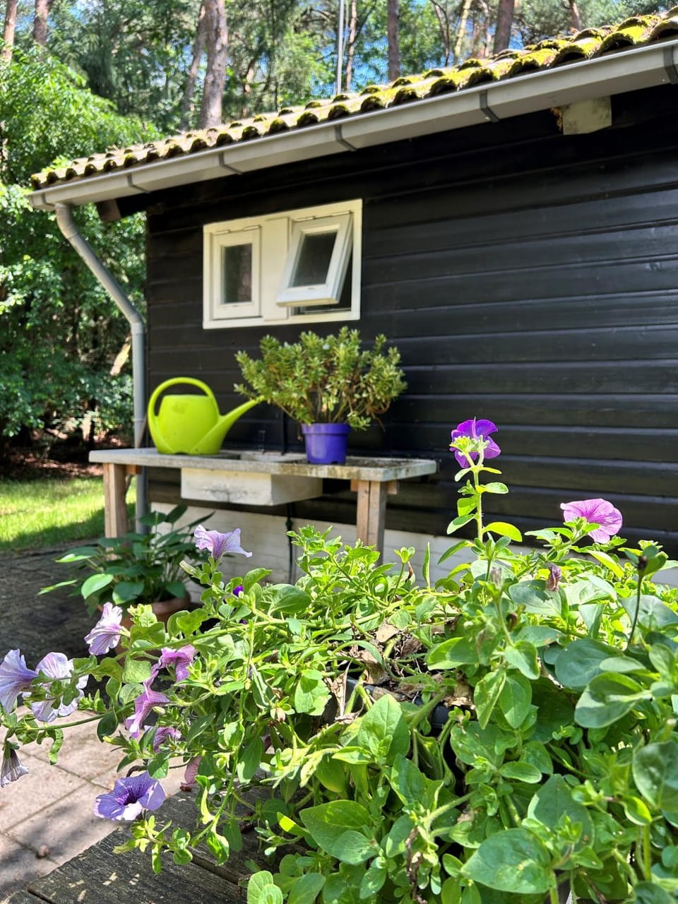 Day, Garden