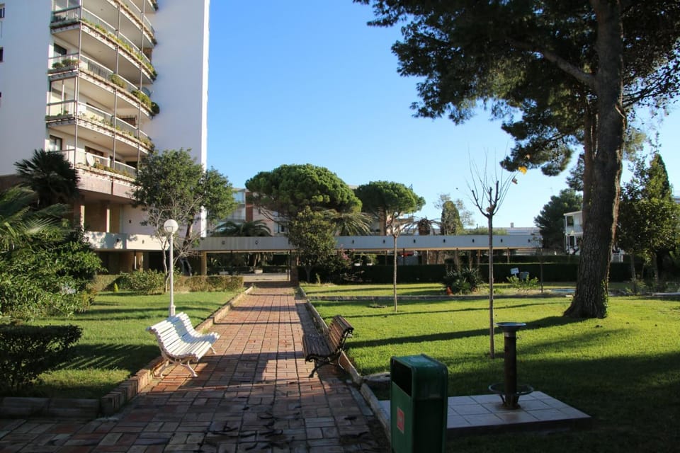 Patio, Garden, Garden view