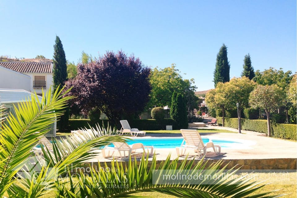 Spring, Summer, Garden, Pool view, Swimming pool, Swimming pool