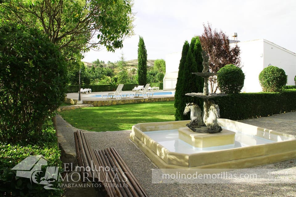Garden, Garden, Garden view, Pool view, Swimming pool