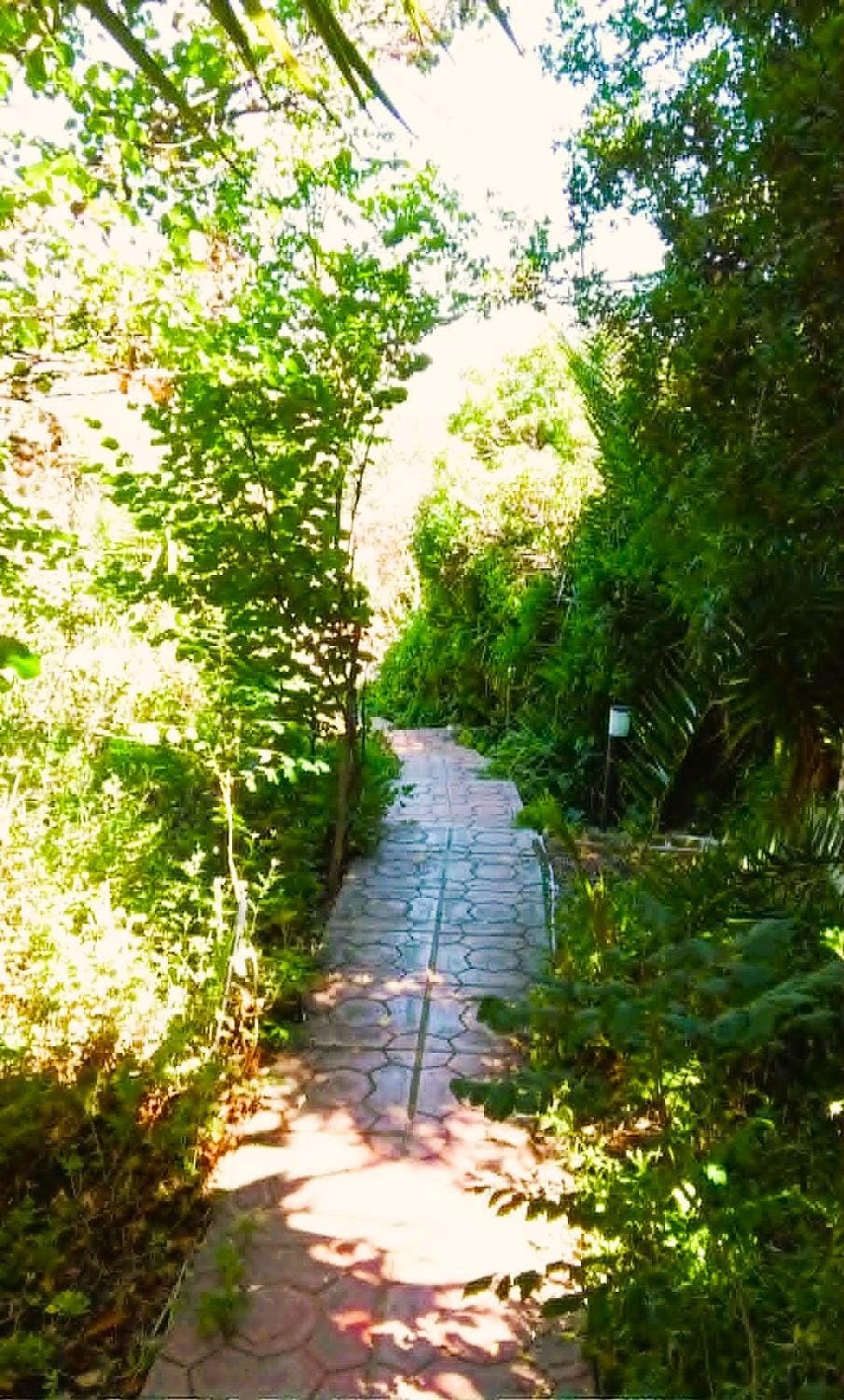 Property building, Garden
