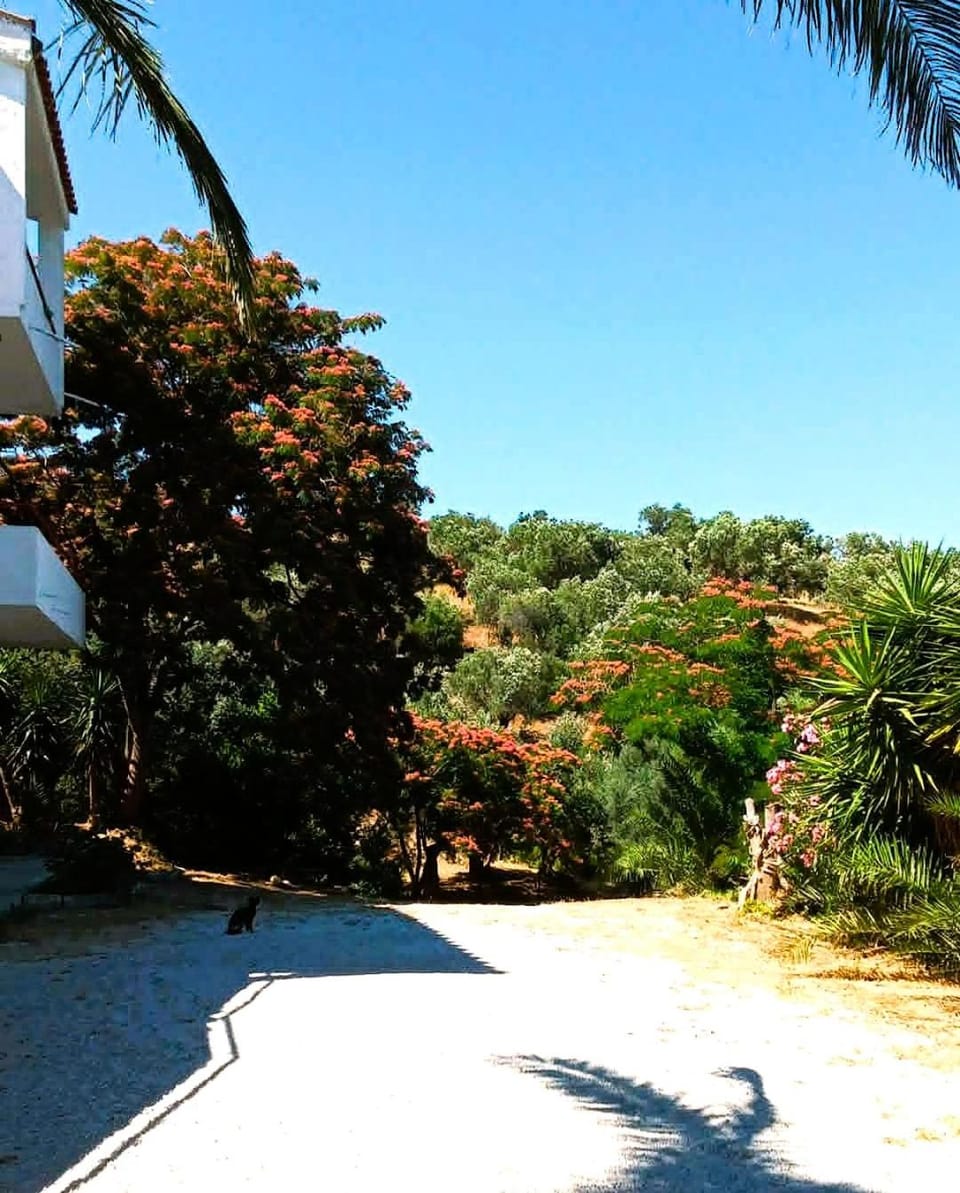 Facade/entrance, Garden