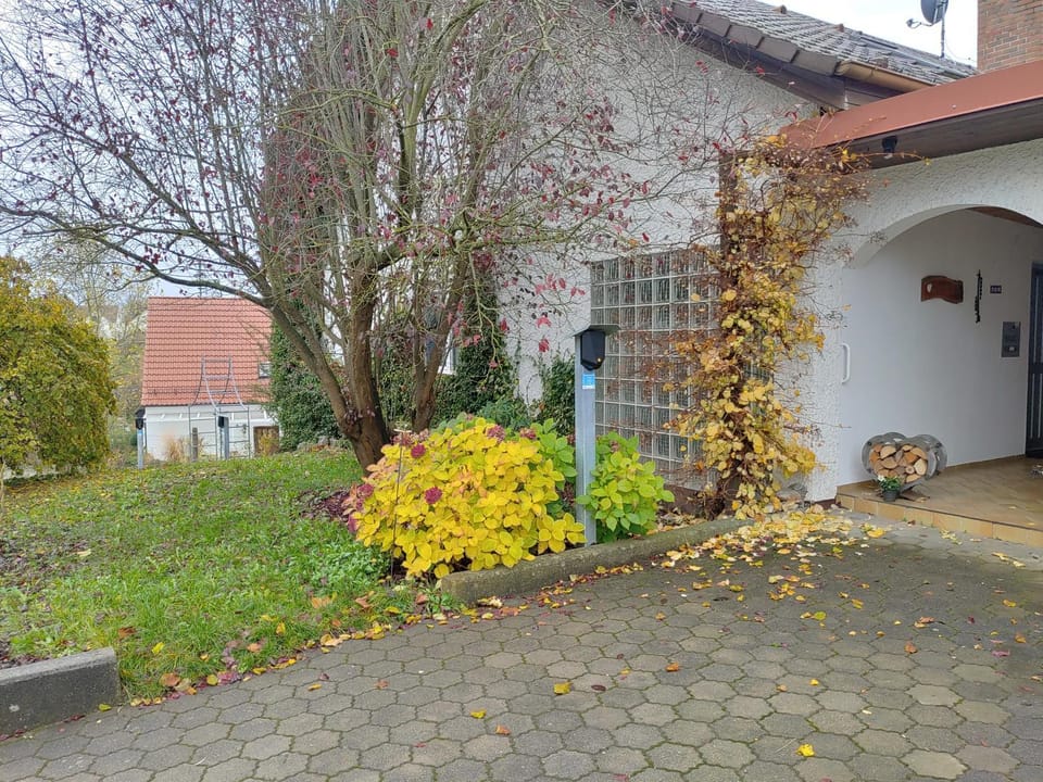 Property building, Garden view