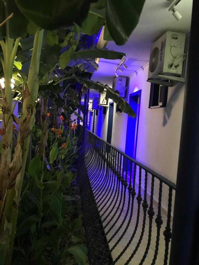 Rota Hotel Hotel in Dalyan