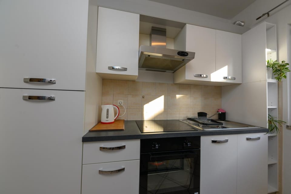 Kitchen or kitchenette, minibar, pet friendly, stove