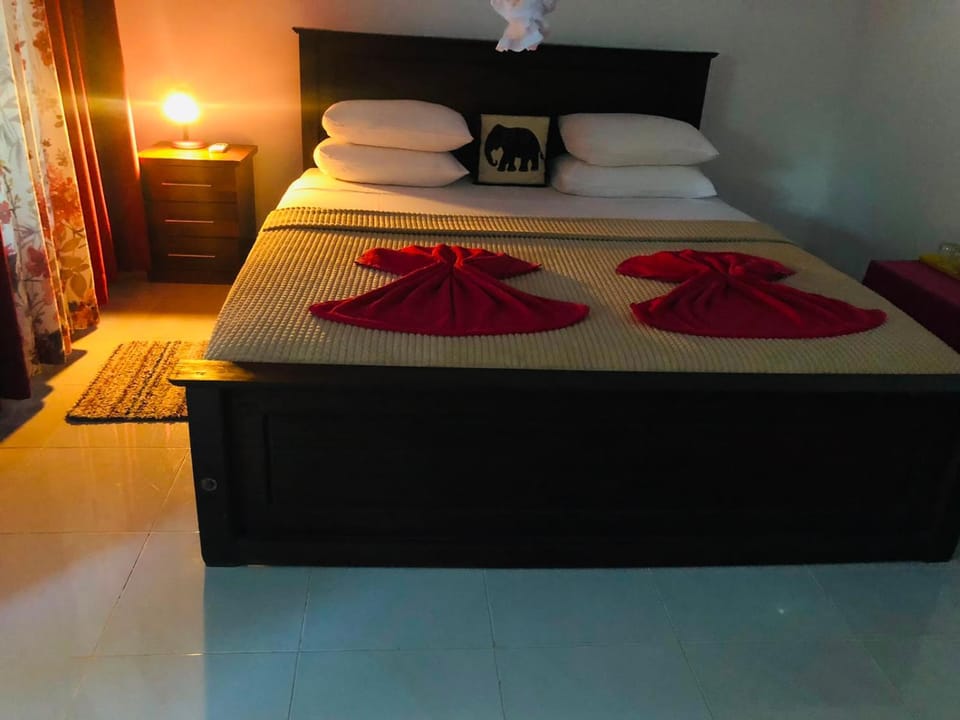 Harini Villa Villa in Dambulla