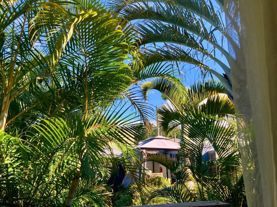Natural landscape, Garden, Garden view