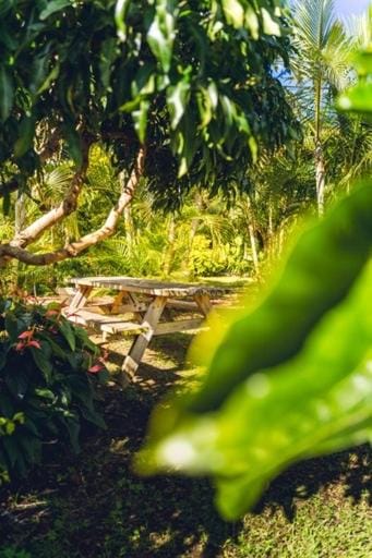 Natural landscape, Garden, Garden view